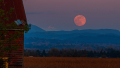 Farmland moonrise in Pitt Meadows